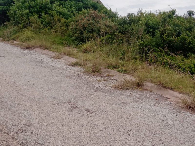 A view of the gravel road frontage showing concrete curbing and overgrown vegetation along the verge.