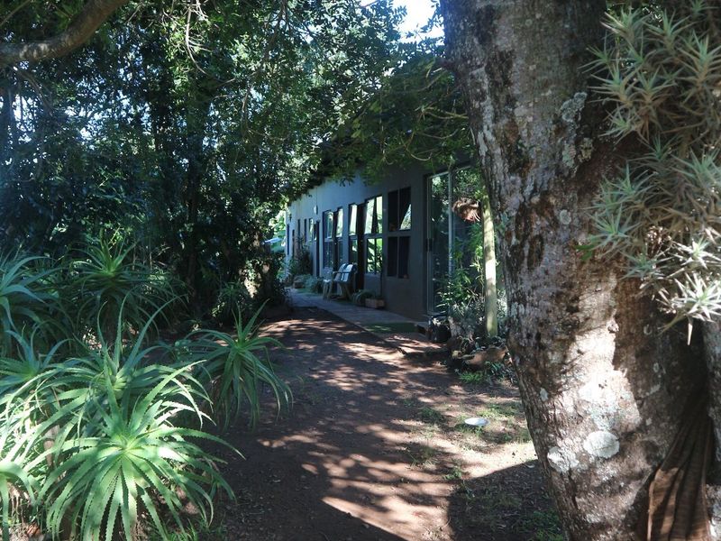 Beautiful Farm for sale in East London - Photo 8