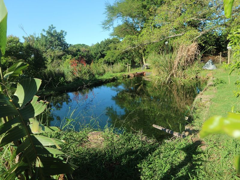 Beautiful Farm for sale in East London - Photo 7