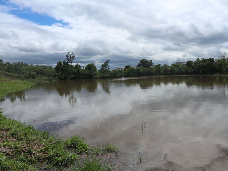 Beautiful Farm for sale in East London - Photo 6