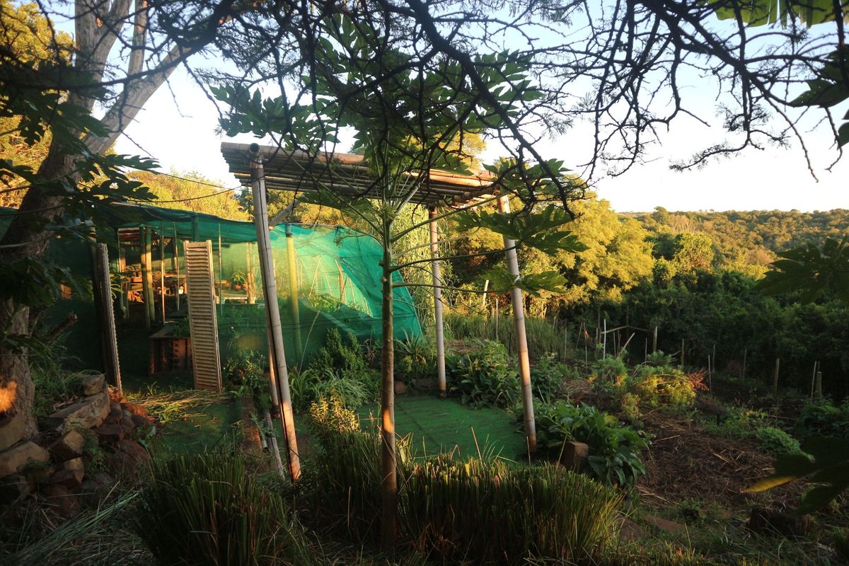 Beautiful Farm for sale in East London - Photo 3