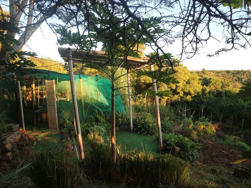 Beautiful Farm for sale in East London - Photo 3