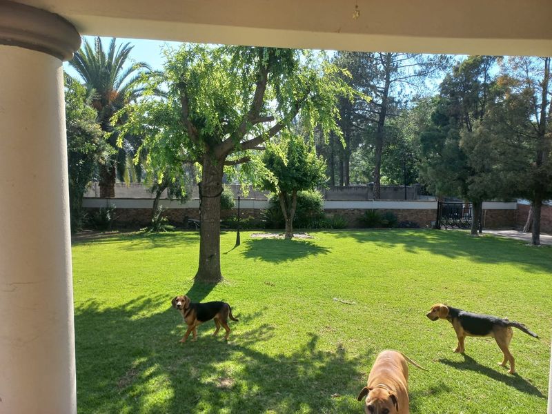 A view from a covered patio overlooking a spacious, well-maintained green garden with mature trees and a brick boundary wall.