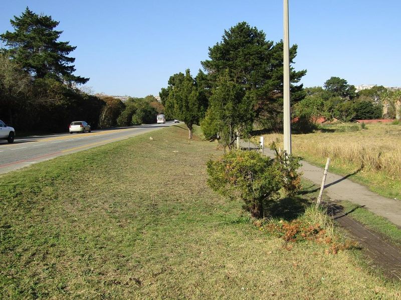 Prime Development Opportunity in Knysna - Photo 10