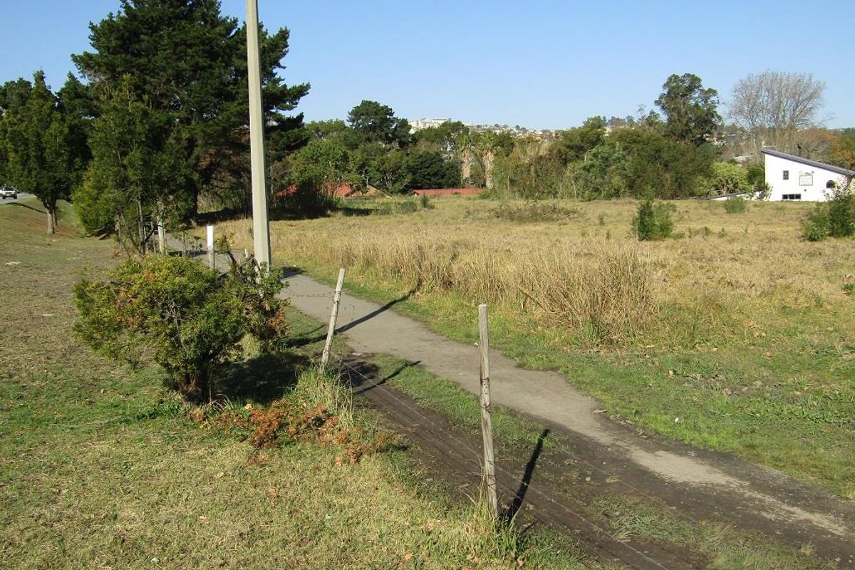 Prime Development Opportunity in Knysna - Photo 3