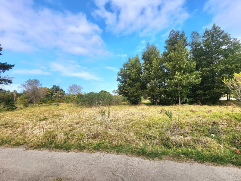 Prime Development Opportunity in Knysna - Photo 7