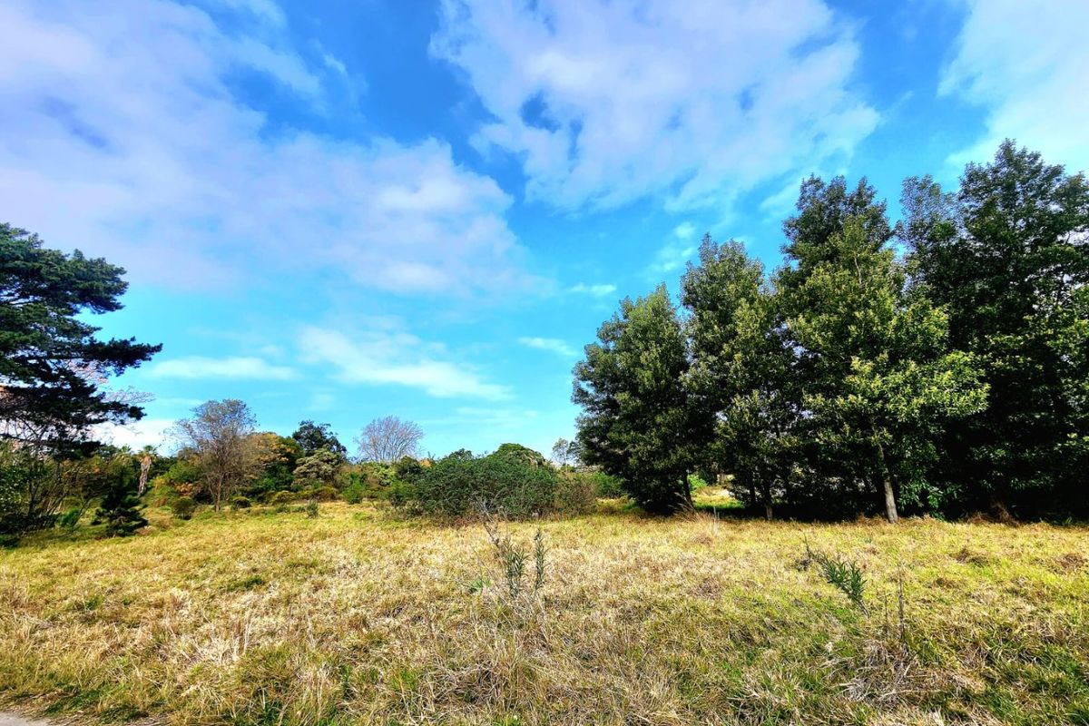 Prime Development Opportunity in Knysna - Photo 3