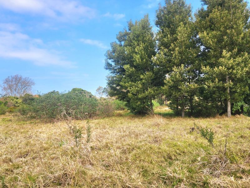 Prime Development Opportunity in Knysna - Photo 9