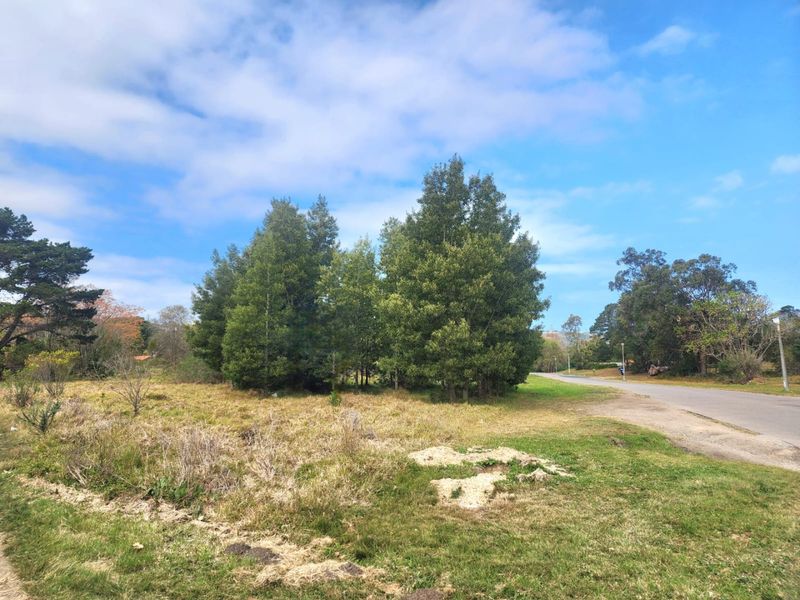 Prime Development Opportunity in Knysna - Photo 8