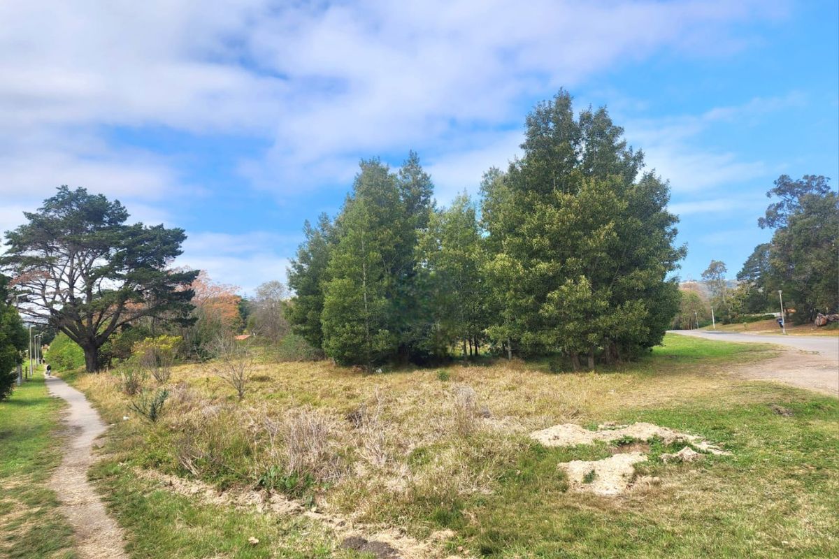 Prime Development Opportunity in Knysna - Photo 5