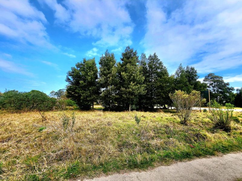 Prime Development Opportunity in Knysna - Photo 2