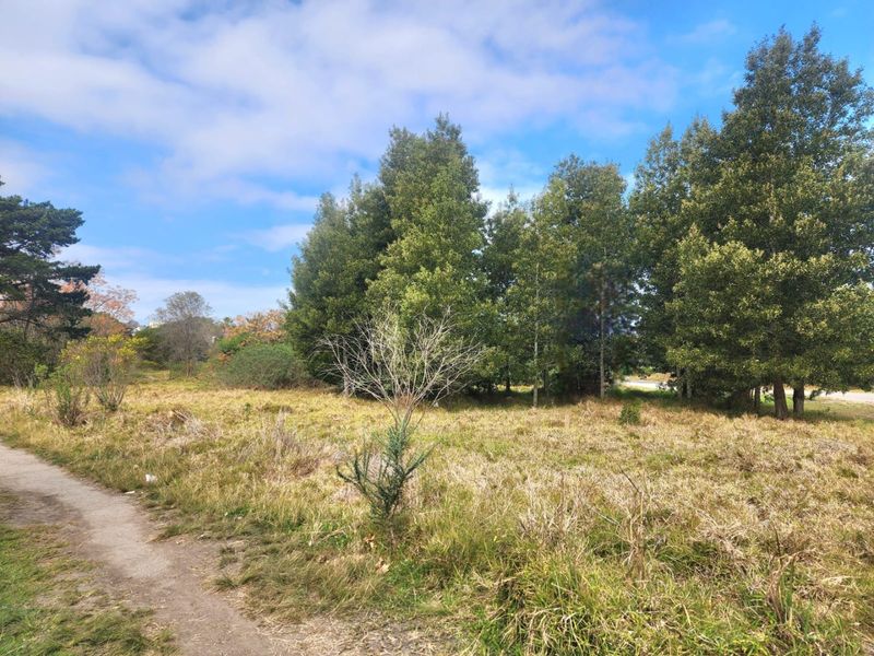 Prime Development Opportunity in Knysna - Photo 4