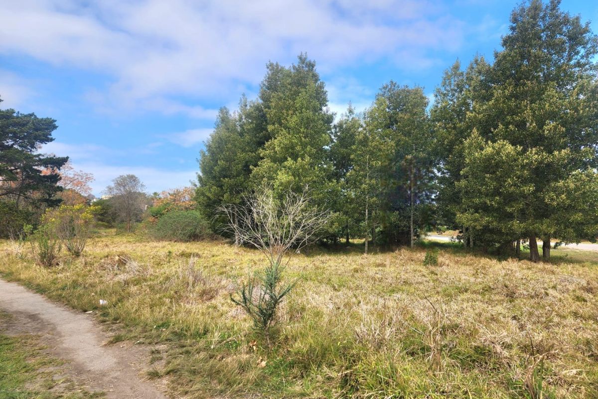 A view of a vacant residential plot featuring established trees and natural grassland, offering a peaceful setting for potential development.