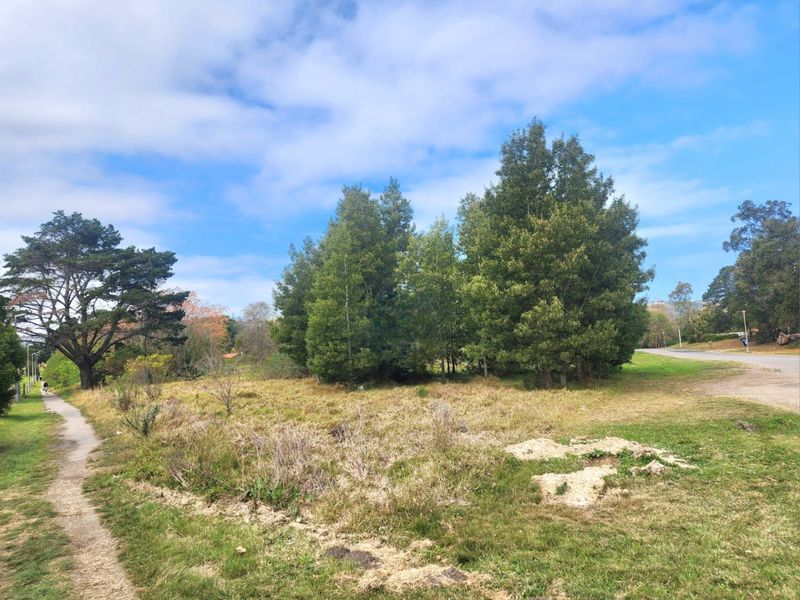 Prime Development Opportunity in Knysna - Photo 6