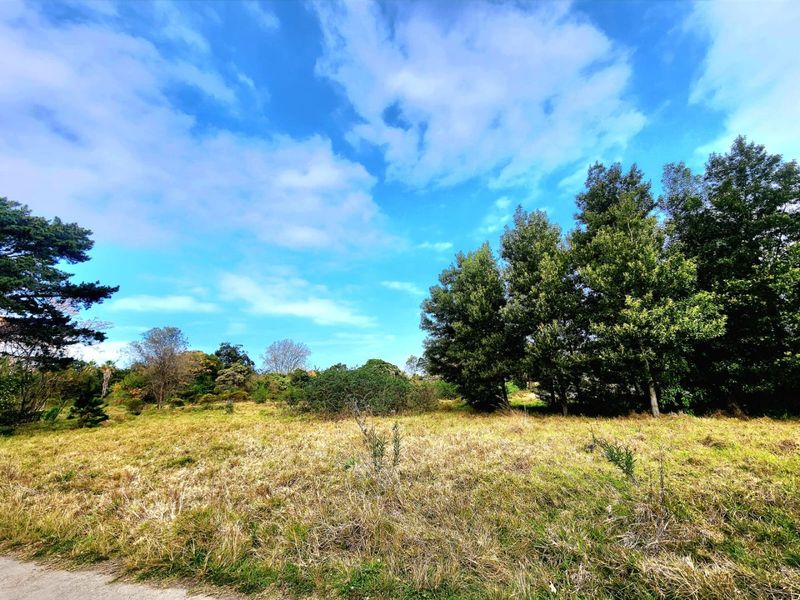 Prime Development Opportunity in Knysna - Photo 4