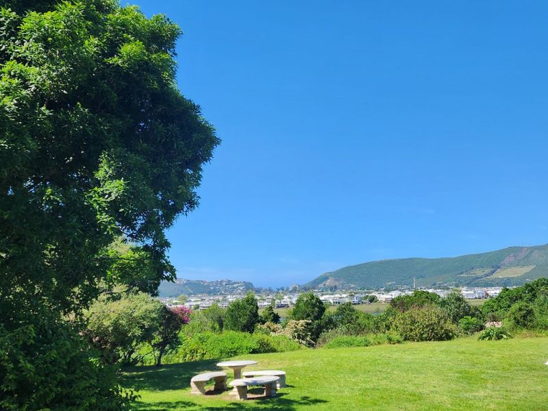 Knysna - Waterfront Drive - Calling Developers and Investors - Photo 1