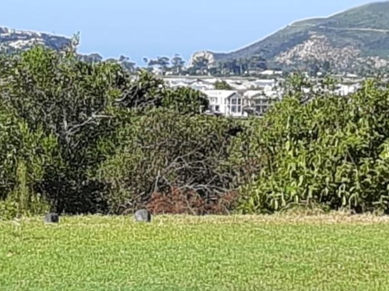 Knysna - Waterfront Drive - Calling Developers and Investors - Photo 6