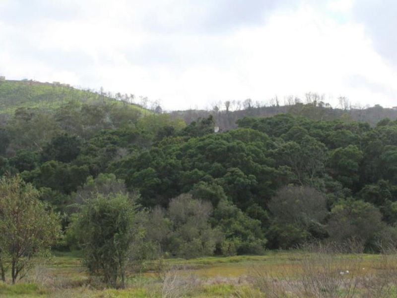 Knysna - Waterfront Drive - Calling Developers and Investors - Photo 10