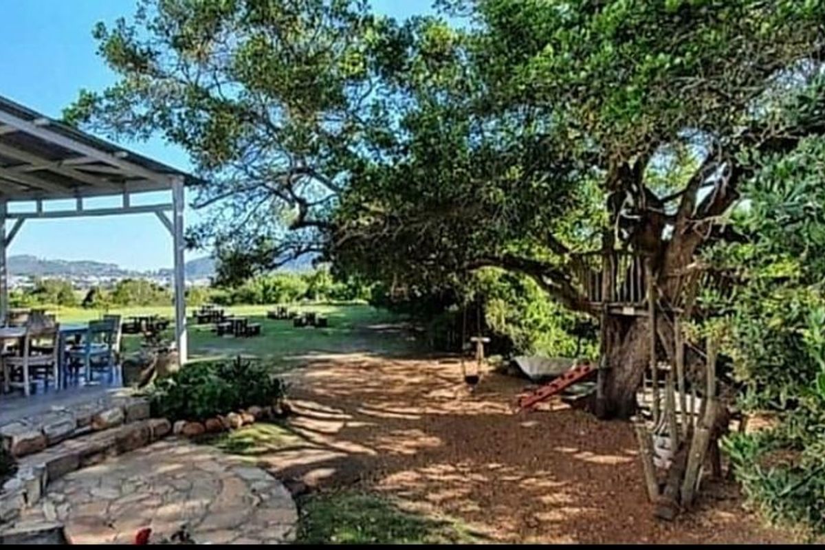 Knysna - Waterfront Drive - Calling Developers and Investors - Photo 5