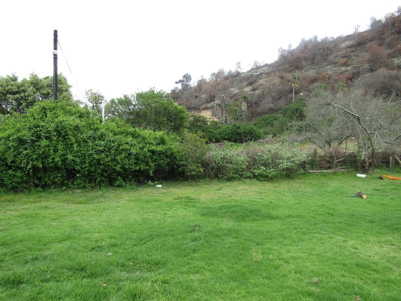 High-Potential Development Site with Two Dwellings Near Knysna CBD - Photo 4