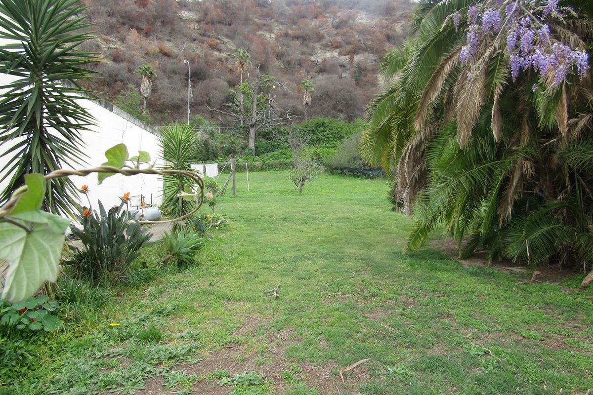 A spacious rear garden area featuring a lawn, mature palm trees, and a side boundary wall, set against a natural hillside backdrop.