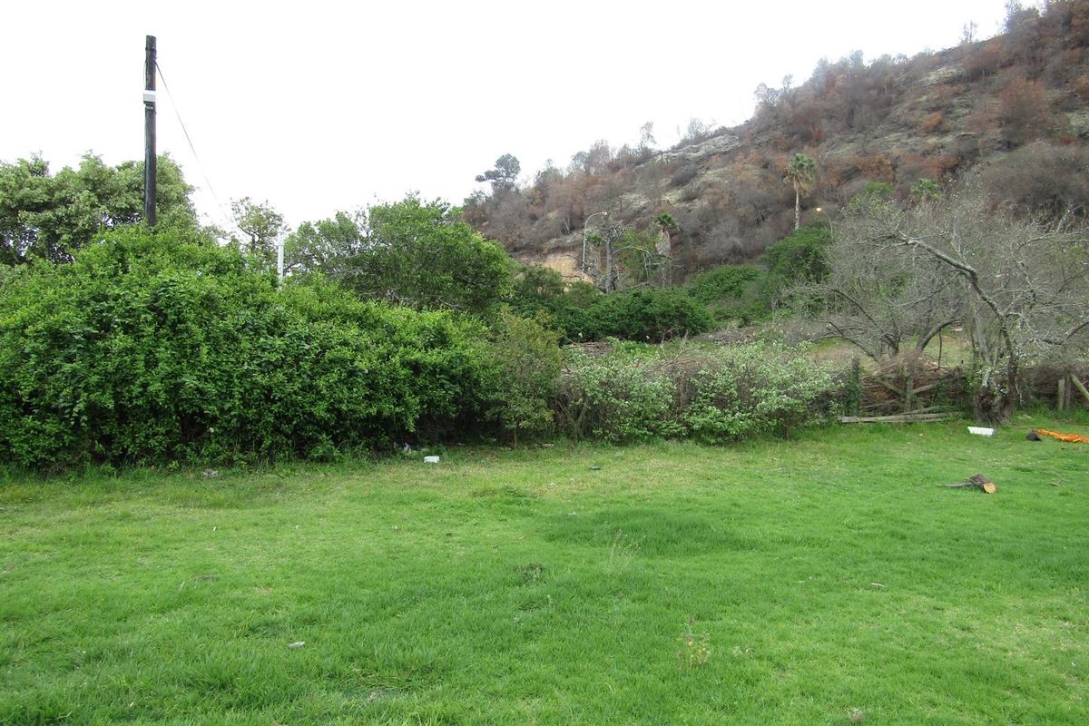 A spacious, grassed garden area featuring mature trees and established shrubbery, set against a natural hillside backdrop.