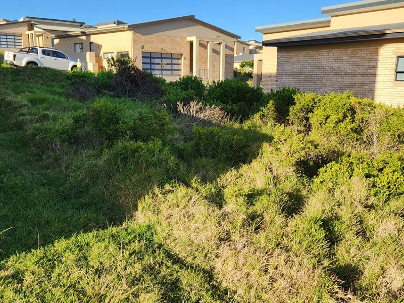 Level Stand..... Blue Ridge Estate..... Dana Bay... Now Fast Developing !!! - Photo 10