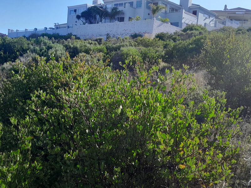 Large Sea View Stand.... Island View... Mossel Bay !!! - Photo 8