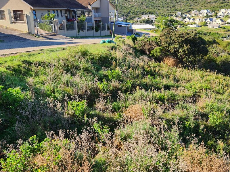 A sloped, undeveloped residential plot featuring natural vegetation, situated in a developed neighborhood with paved street access.