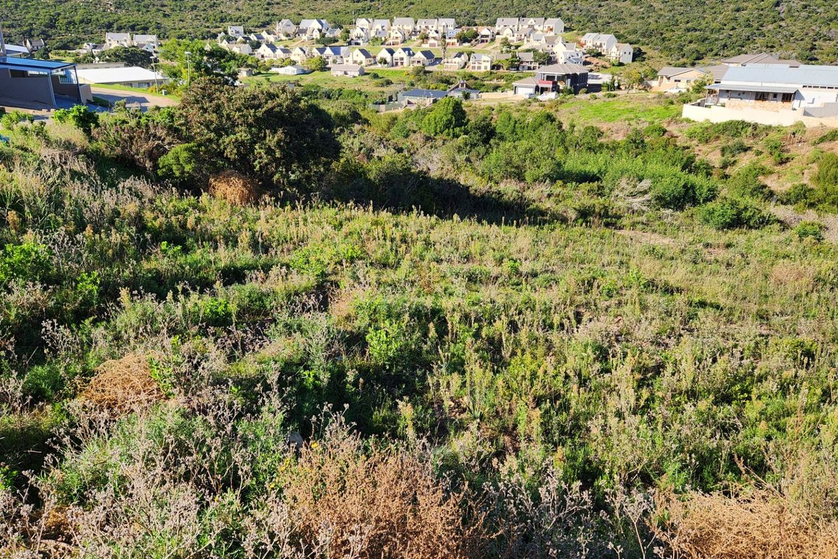 A view of the vacant residential land featuring natural vegetation and a sloped landscape with surrounding neighborhood homes in the background.