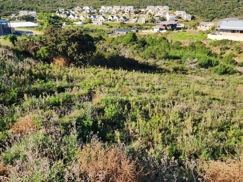 A view of the vacant residential land featuring natural vegetation and a sloped landscape with surrounding neighborhood homes in the background.