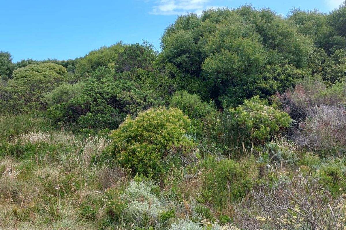 Vacant Land - Photo 4