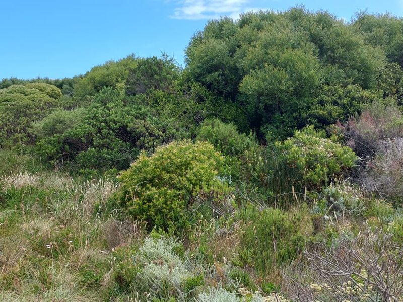 Vacant Land - Photo 4