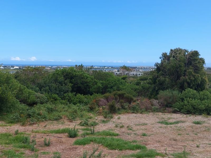 Vacant Land - Photo 8