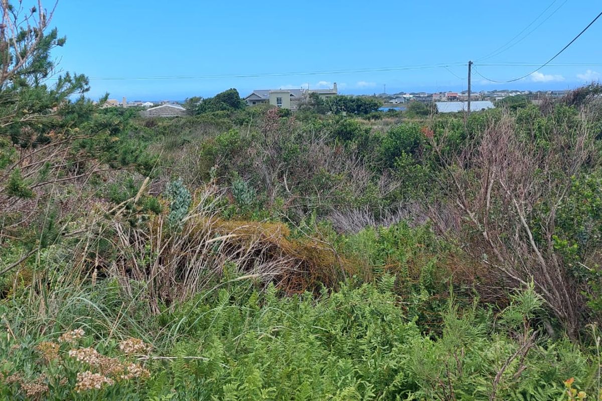 Vacant Land - Photo 5