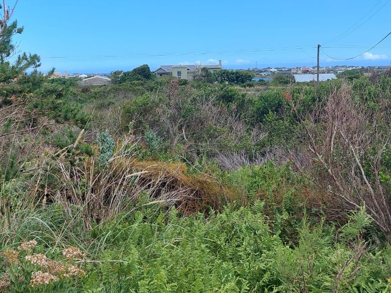 Vacant Land - Photo 5