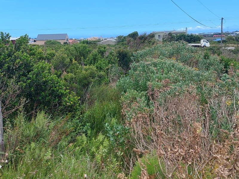 Vacant Land - Photo 7