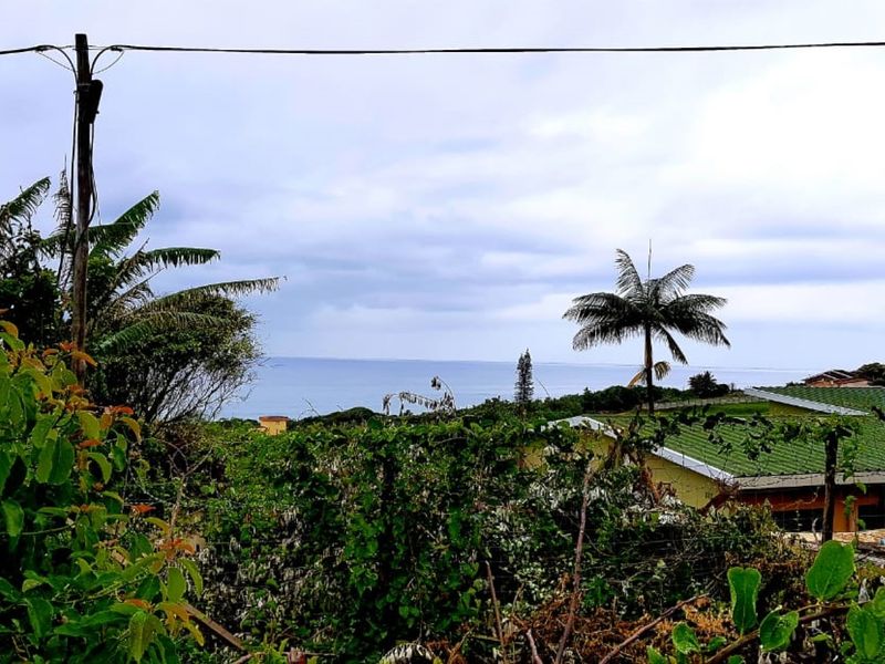 A scenic view overlooking lush greenery and distant coastal landscape, featuring overhead power lines in the foreground.