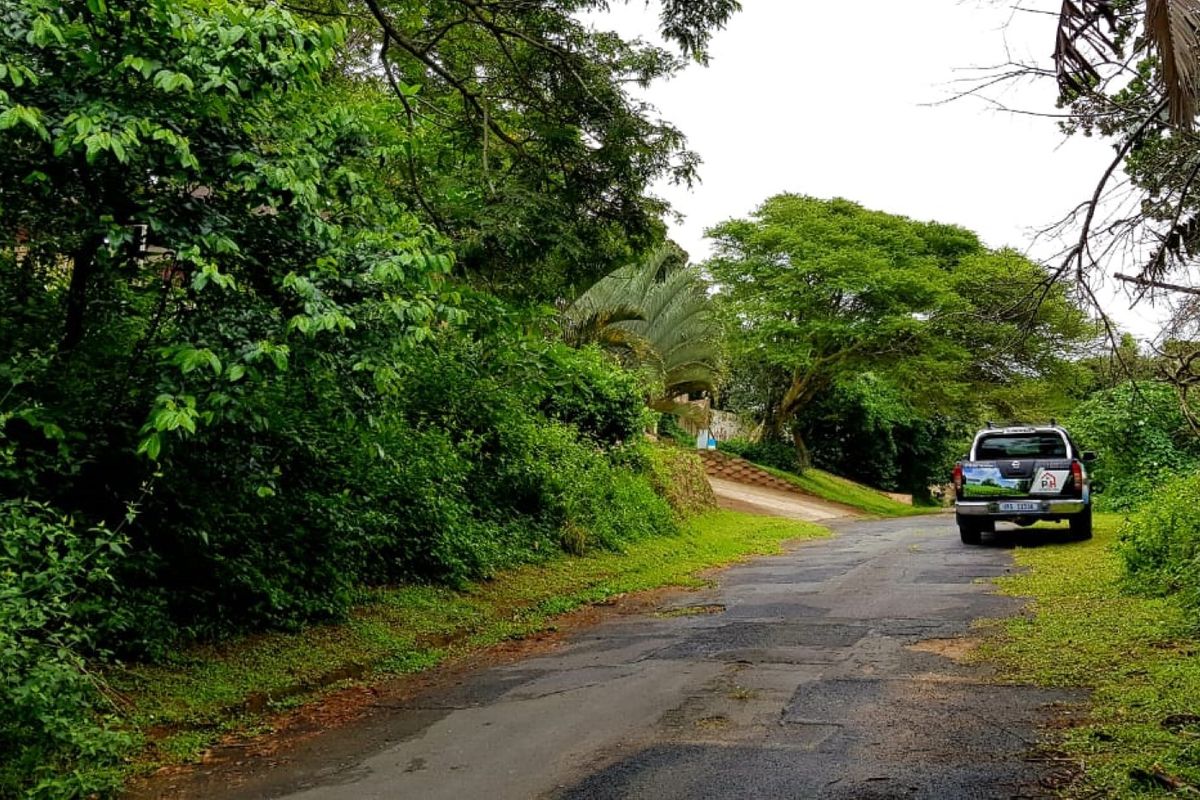 A view of a residential street approach featuring mature trees and dense vegetation along the roadside.
