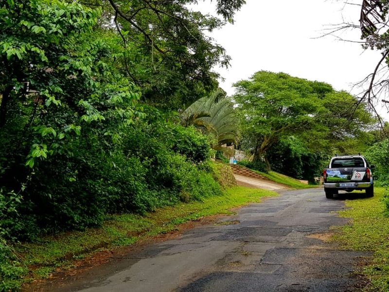A view of a residential street approach featuring mature trees and dense vegetation along the roadside.