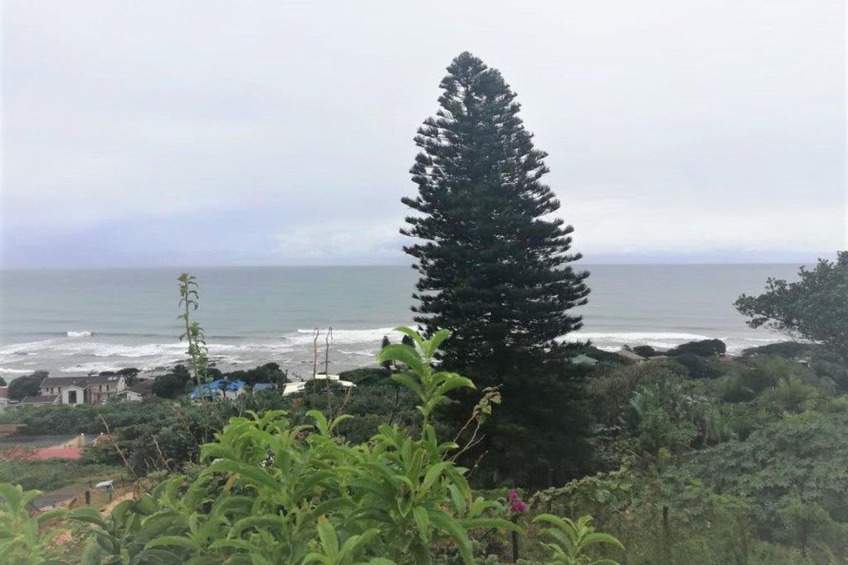 A scenic elevated view overlooking the coastline, featuring mature trees and natural vegetation, highlighting the property's prime coastal location.