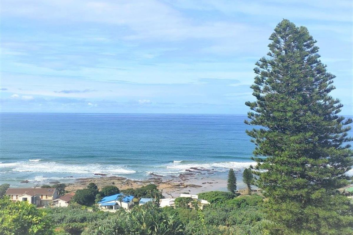 A scenic elevated view overlooking the coastline, ocean, and surrounding residential area.