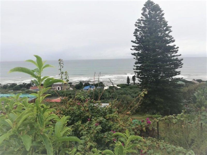 You Cannot Ask For A Better Location! - Photo 7