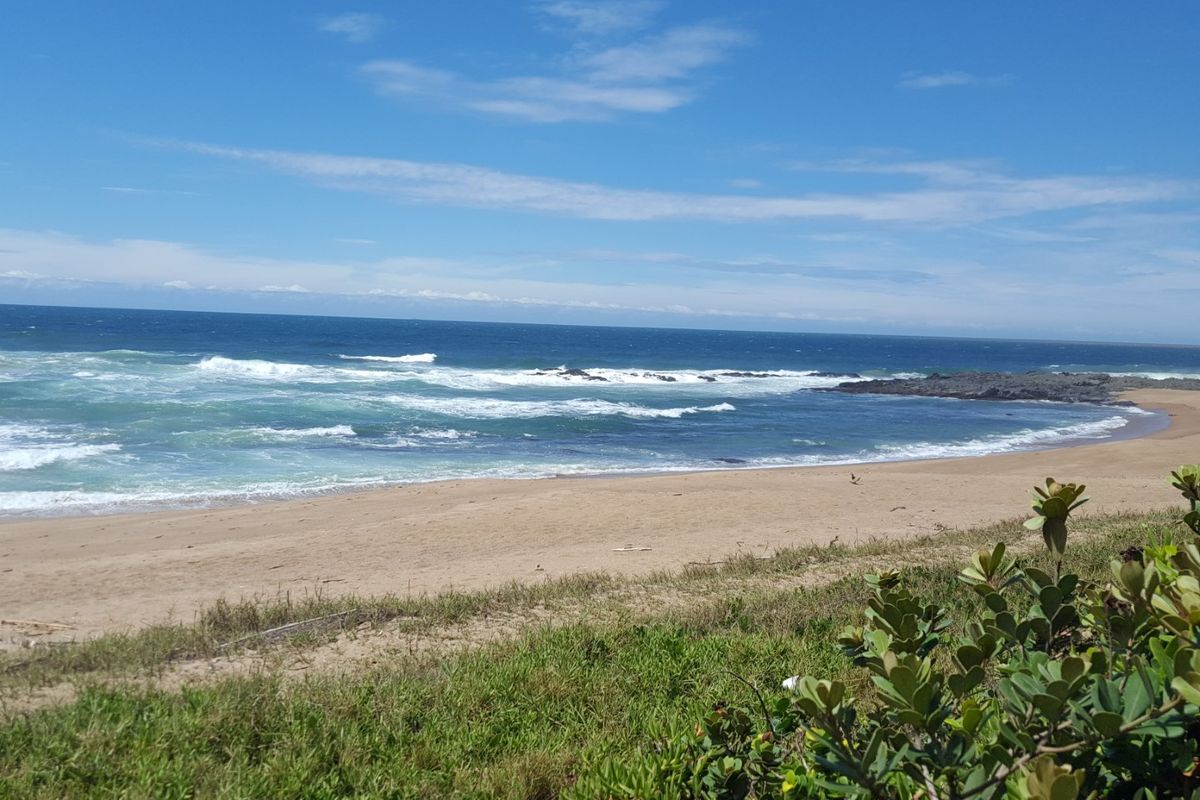 An Exquisite Ultra-Modern Massive Home on the Beach! - Photo 2