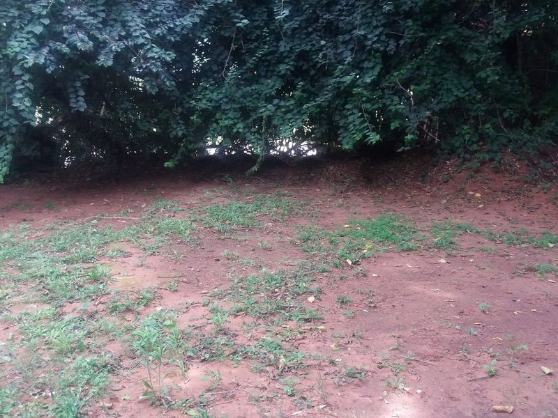 A view of the natural garden area featuring mature trees and open ground on this residential vacant land plot.
