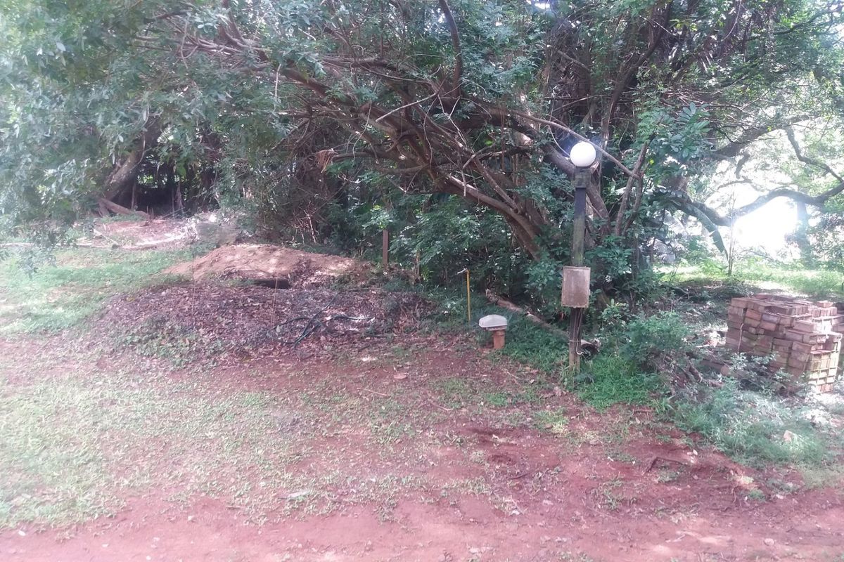 A view of a vacant residential plot featuring mature trees, overgrown vegetation, and existing electrical infrastructure.