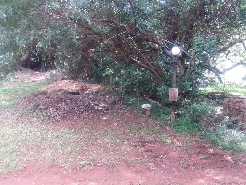 A view of a vacant residential plot featuring mature trees, overgrown vegetation, and existing electrical infrastructure.