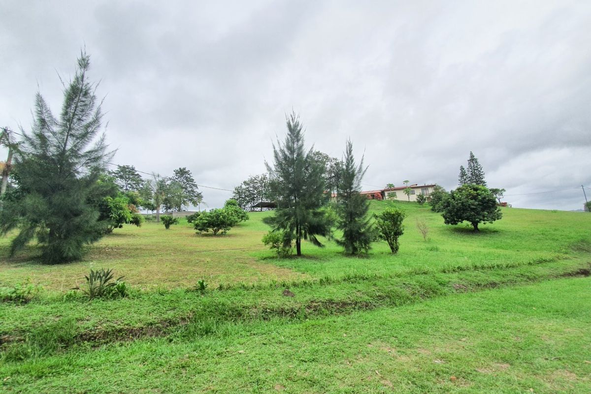 Fantastic Industrial / Agricultural Investment - Photo 4