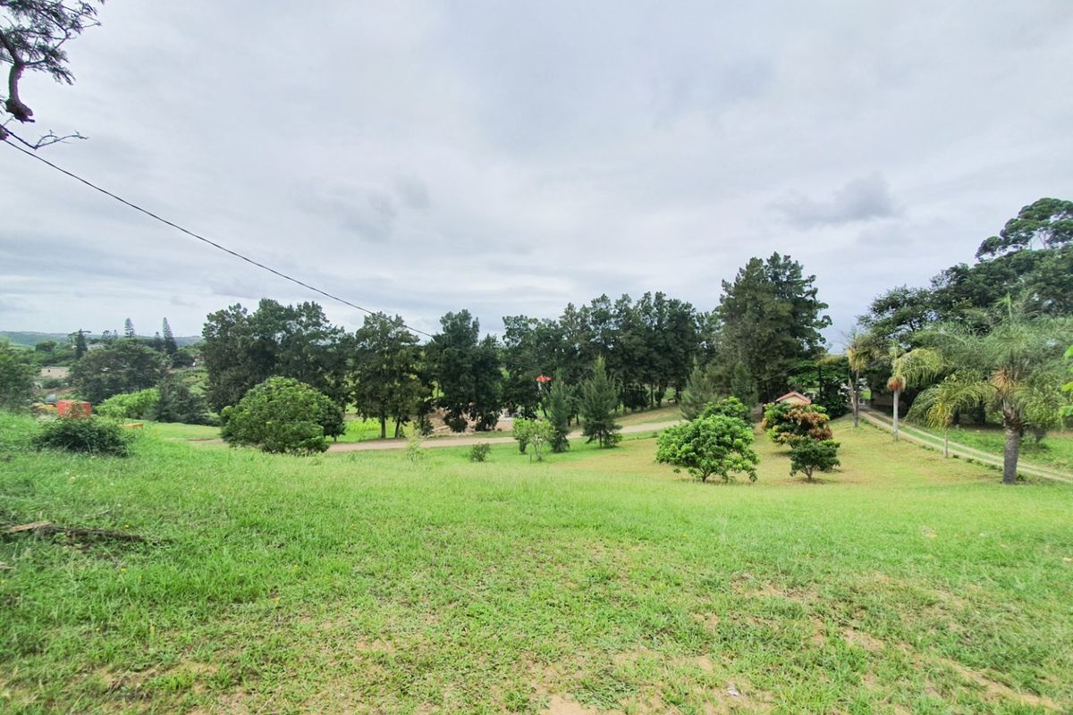 Fantastic Industrial / Agricultural Investment - Photo 5