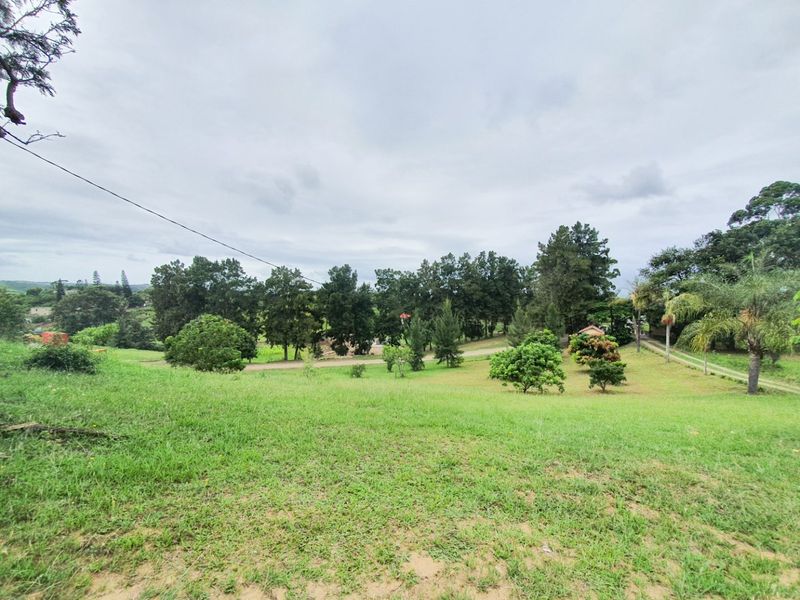 A wide-angle view of a spacious, grassy outdoor area featuring mature trees and natural landscaping, suitable for industrial development or recreational use.